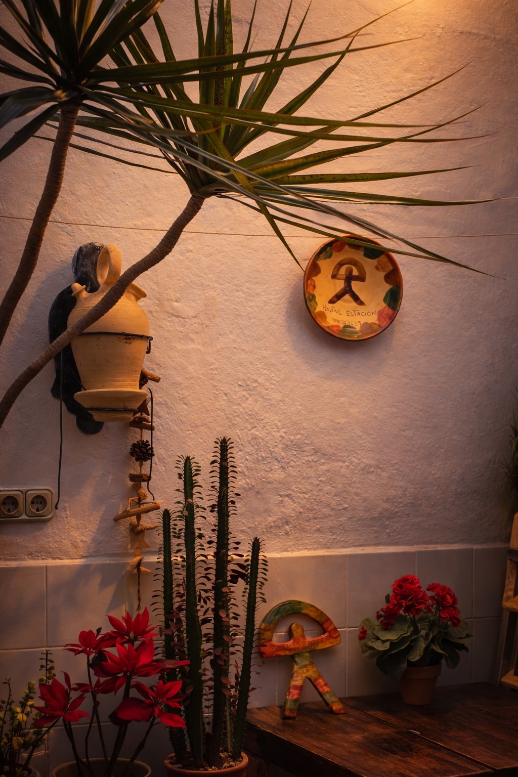 Patio con plantas de Hostal Estación